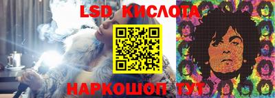 ПСИЛОЦИБИНОВЫЕ ГРИБЫ Шебекино