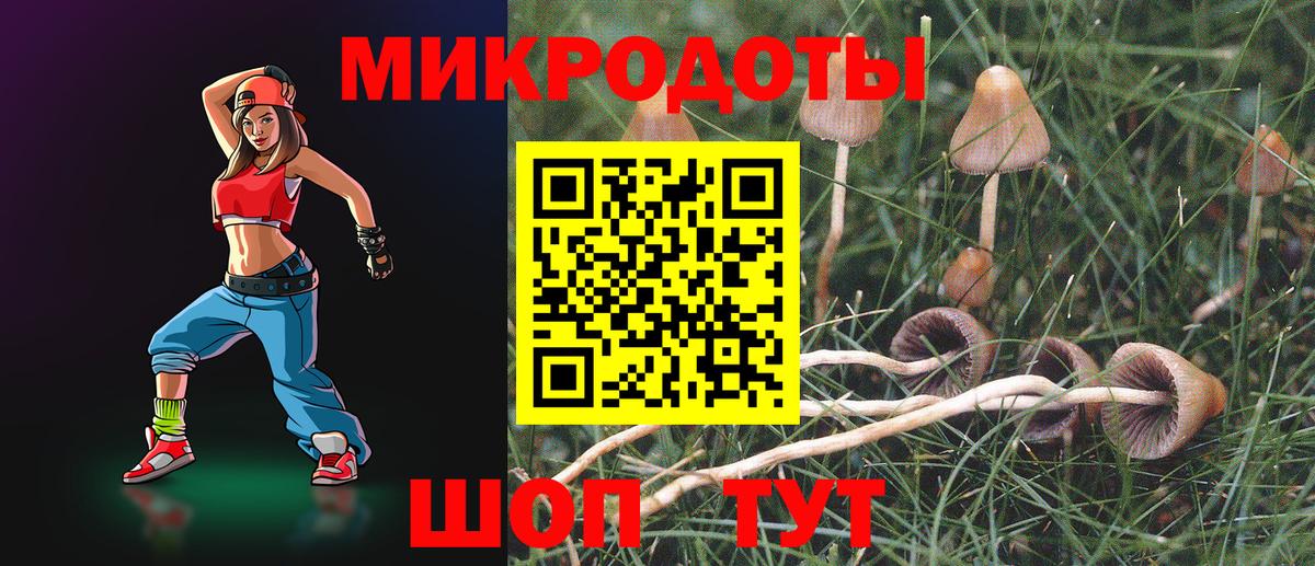 Галлюциногенные грибы Psilocybine cubensis  Вход с VPN  Галлюциногенные грибы Psilocybine cubensis  Курчалой 